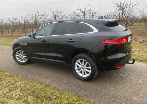 Jaguar F-Pace cena 79999 przebieg: 186000, rok produkcji 2016 z Staszów małe 704